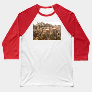 Arches Cacti Flowers Baseball T-Shirt